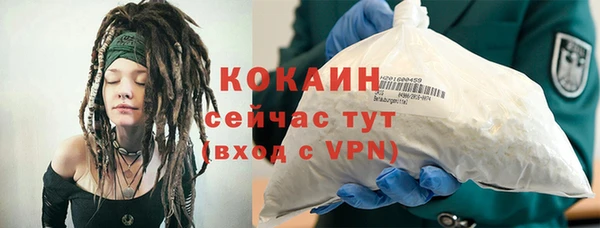 мяу мяу кристалл Корсаков