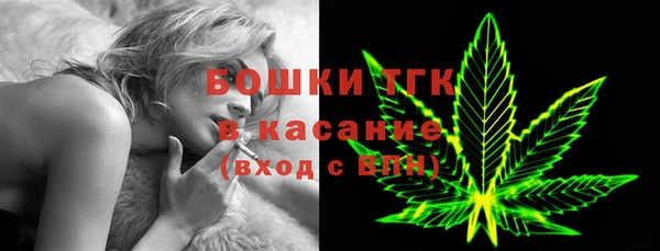 PSILOCYBIN Киренск