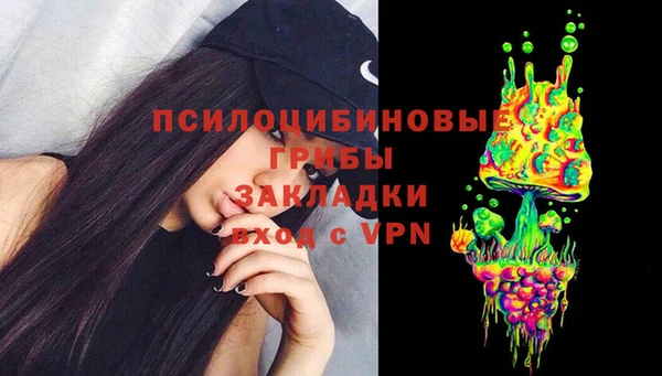 гидра Карталы