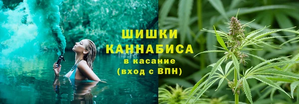 ГАЛЛЮЦИНОГЕННЫЕ ГРИБЫ Киреевск