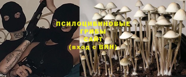 мяу мяу мука Козловка