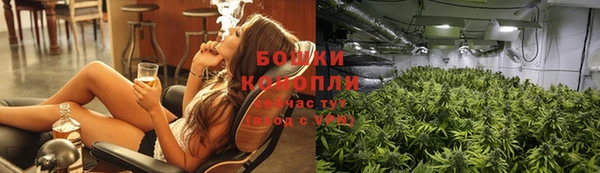 ГАЛЛЮЦИНОГЕННЫЕ ГРИБЫ Киреевск