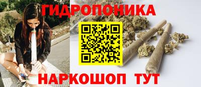 эйфоретик Кимры