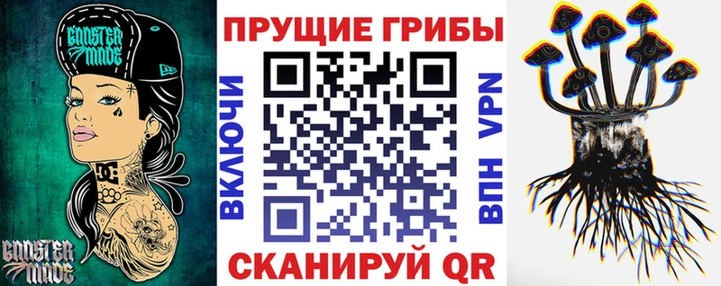 Галлюциногенные грибы Psilocybine cubensis гидра зеркало Костомукша