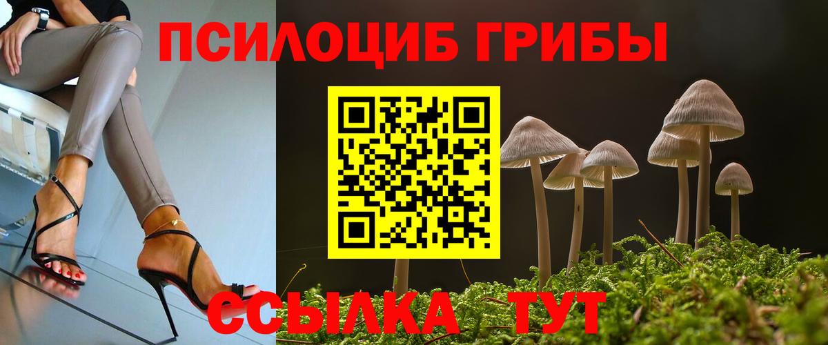 Костомукша  Галлюциногенные грибы Magic Shrooms  Вход с VPN 