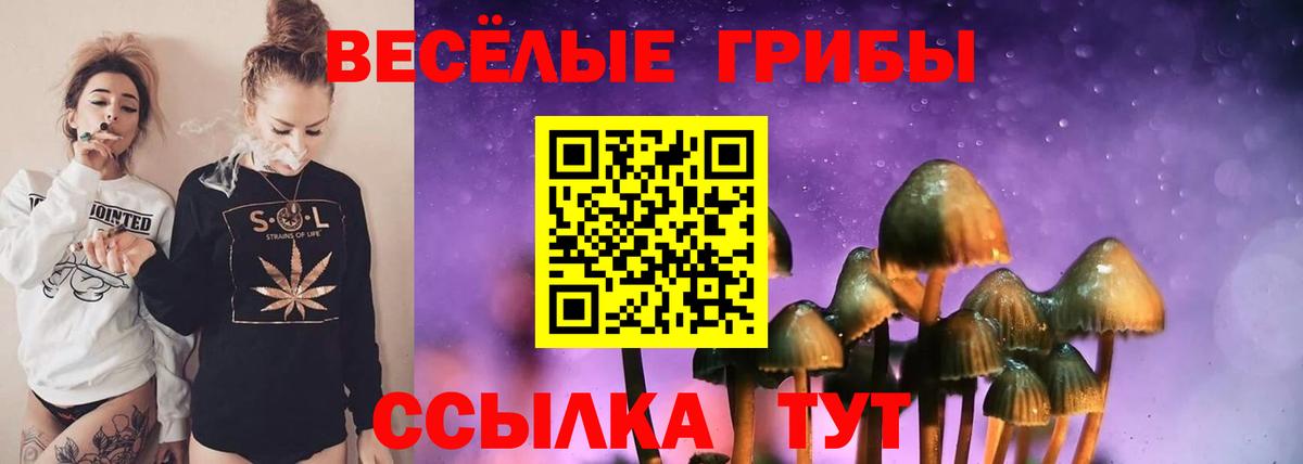 Псилоцибиновые грибы Cubensis Костомукша